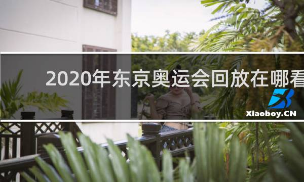 2020年东京奥运会回放在哪看