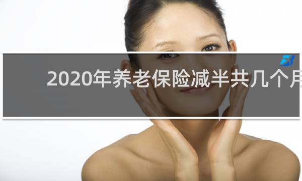 2020年养老保险减半共几个月