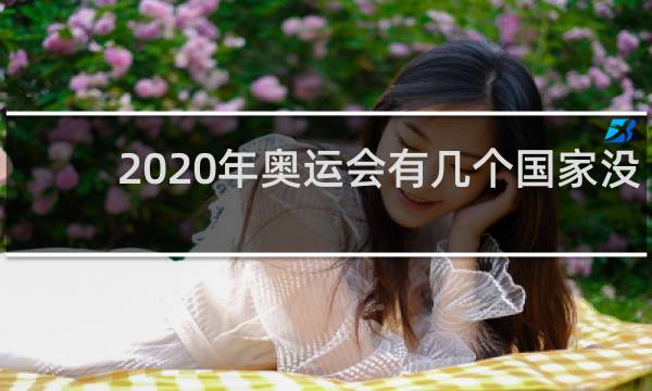 2020年奥运会有几个国家没有参加
