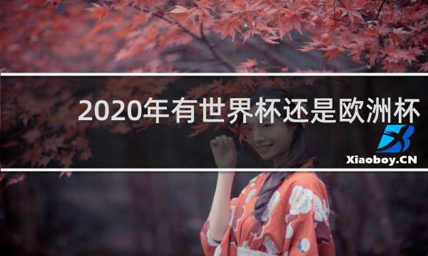 2020年有世界杯还是欧洲杯