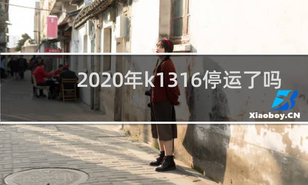 2020年k1316停运了吗