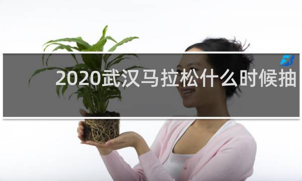 2020武汉马拉松什么时候抽签