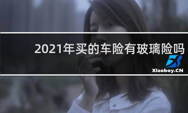 2021年买的车险有玻璃险吗