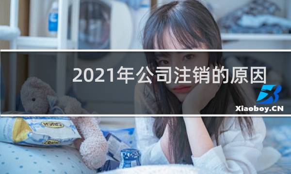 2021年公司注销的原因