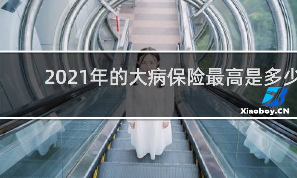 2021年的大病保险最高是多少