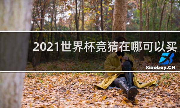 2021世界杯竞猜在哪可以买