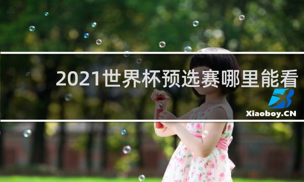 2021世界杯预选赛哪里能看