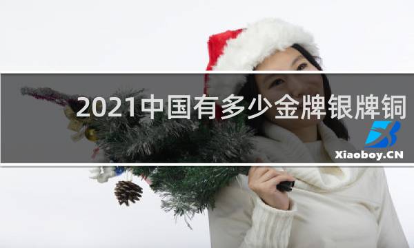 2021中国有多少金牌银牌铜牌