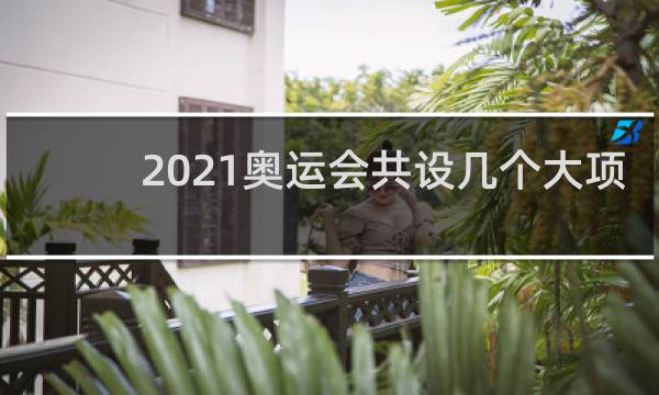 2021奥运会共设几个大项