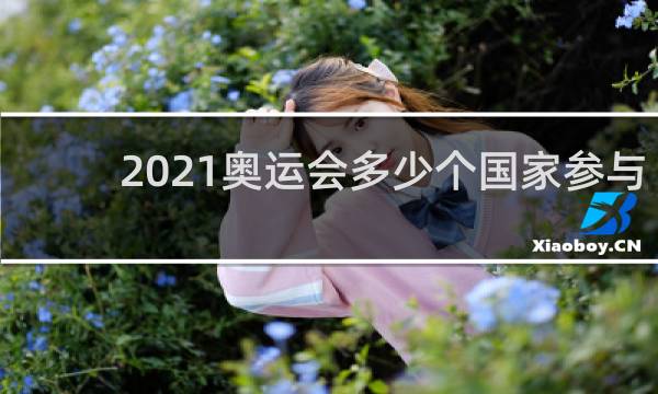 2021奥运会多少个国家参与