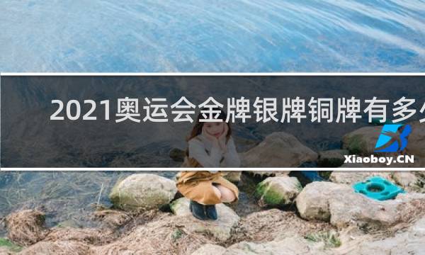 2021奥运会金牌银牌铜牌有多少