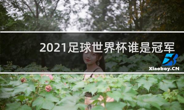 2021足球世界杯谁是冠军