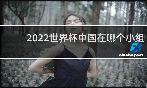 2022世界杯中国在哪个小组