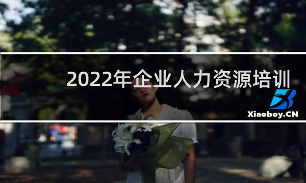2022年企业人力资源培训