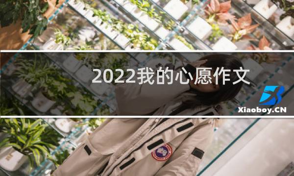 2022我的心愿作文