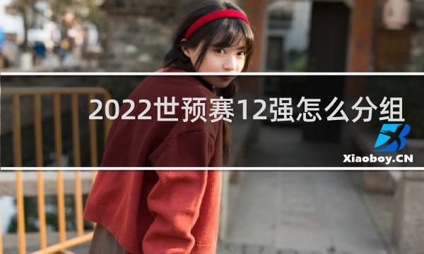 2022世预赛12强怎么分组