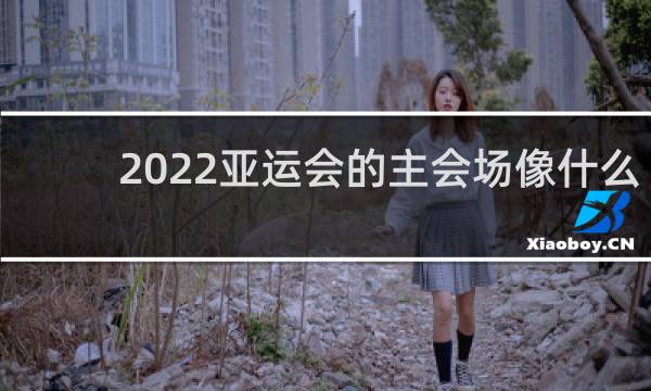 2022亚运会的主会场像什么
