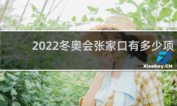 2022冬奥会张家口有多少项目