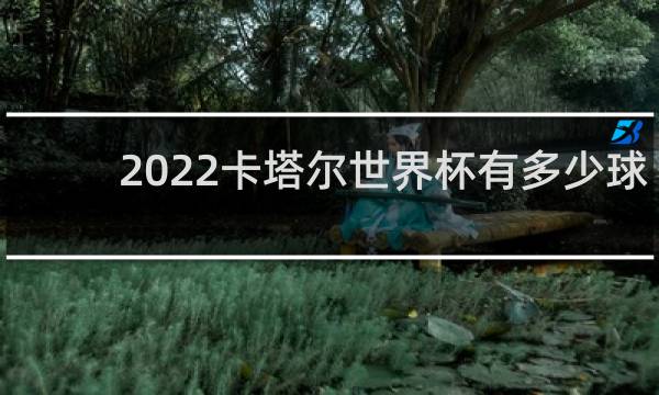 2022卡塔尔世界杯有多少球队