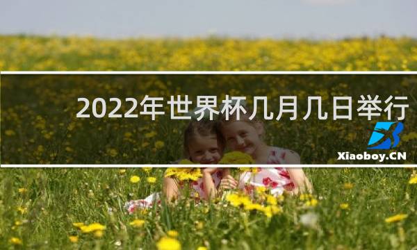 2022年世界杯几月几日举行