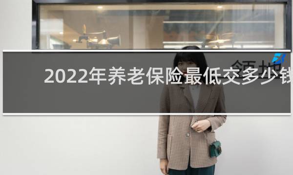 2022年养老保险最低交多少钱