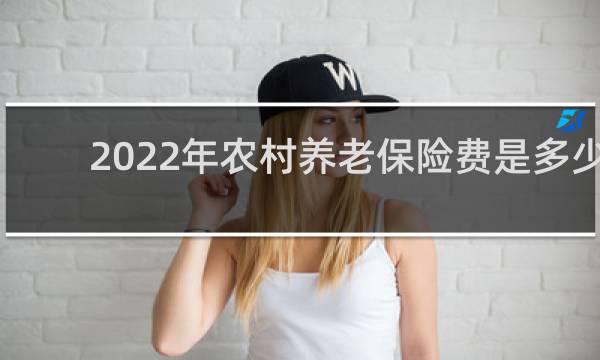 2022年农村养老保险费是多少图片