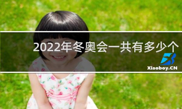 2022年冬奥会一共有多少个项目