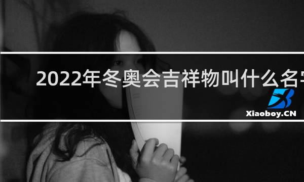 2022年冬奥会吉祥物叫什么名字