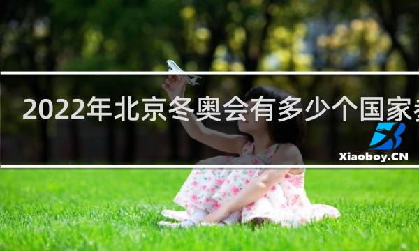 2022年北京冬奥会有多少个国家参加