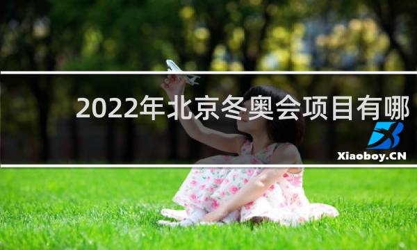 2022年北京冬奥会项目有哪些