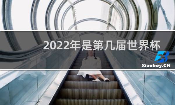 2022年是第几届世界杯