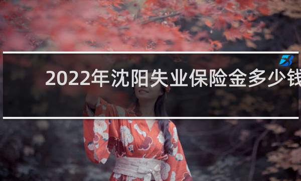 2022年沈阳失业保险金多少钱图片