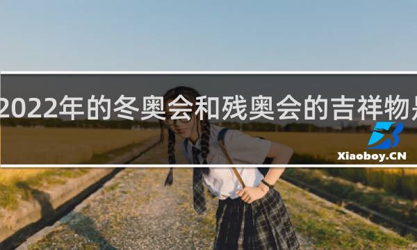 2022年的冬奥会和残奥会的吉祥物是什么