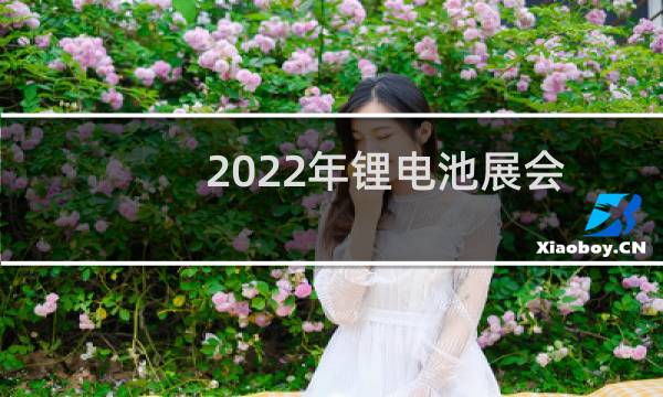 2022年锂电池展会图片