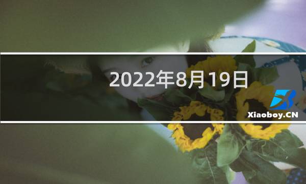2022年8月19日五行属性（今日五行穿衣搭配查询）图片