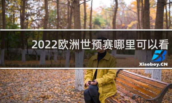 2022欧洲世预赛哪里可以看