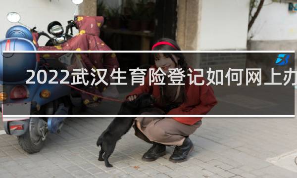 2022武汉生育险登记如何网上办理图片