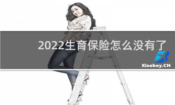 2022生育保险怎么没有了图片