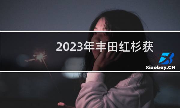 2023年丰田红杉获得燃油经济性评级