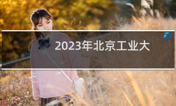2023年北京工业大学艺术类分数线