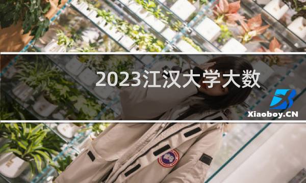 2023江汉大学大数据管理与应用各省分数线