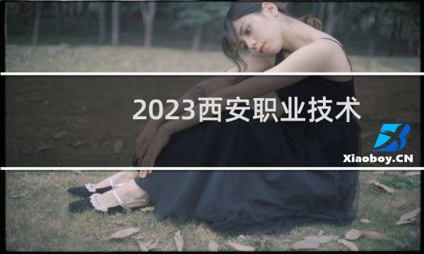 2023西安职业技术学院录取分数线和最低录取位次 2024最低多少分