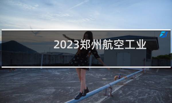 2023郑州航空工业学院艺术类专业专业各省最低分数线