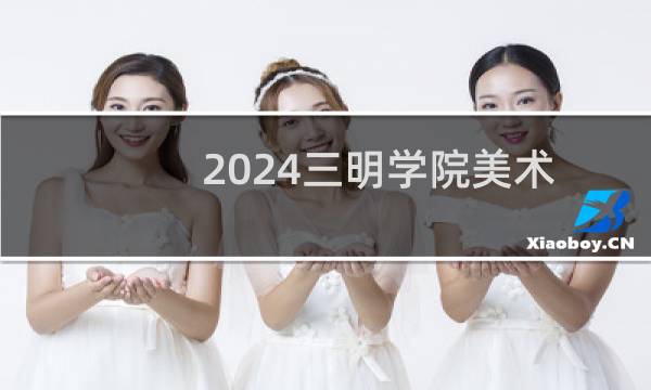2024三明学院美术学专业各省录取分数线