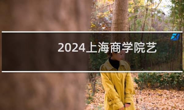 2024上海商学院艺术类在山东录取分数线