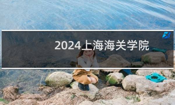 2024上海海关学院二本及预科分专业录取分数线