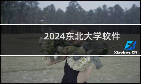 2024东北大学软件工程(定向)专业录取分数线 最低615