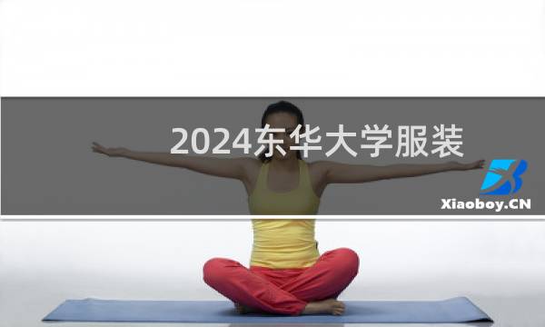 2024东华大学服装与服饰设计办学)(中英合作)专业各省录取分数线