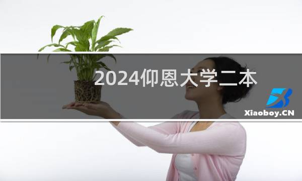 2024仰恩大学二本及预科分专业录取分数线