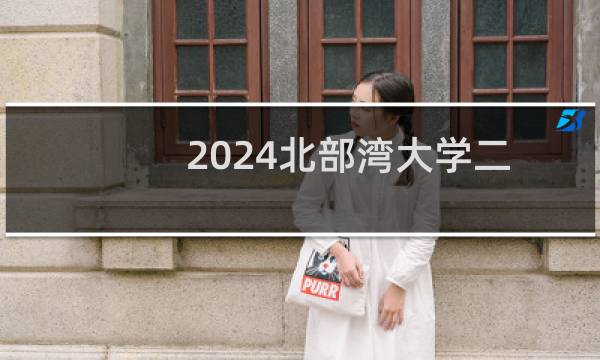 2024北部湾大学二本及预科分专业录取分数线